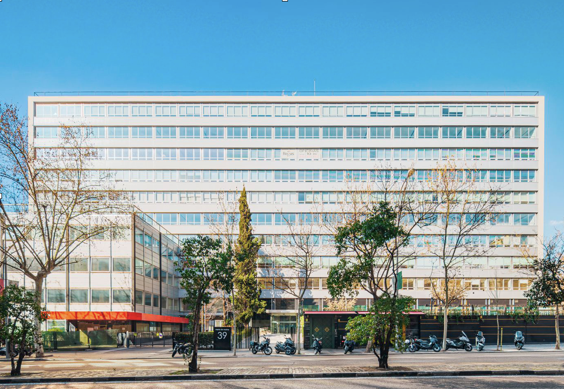 Maria Molina 39 / Plantas de Oficinas